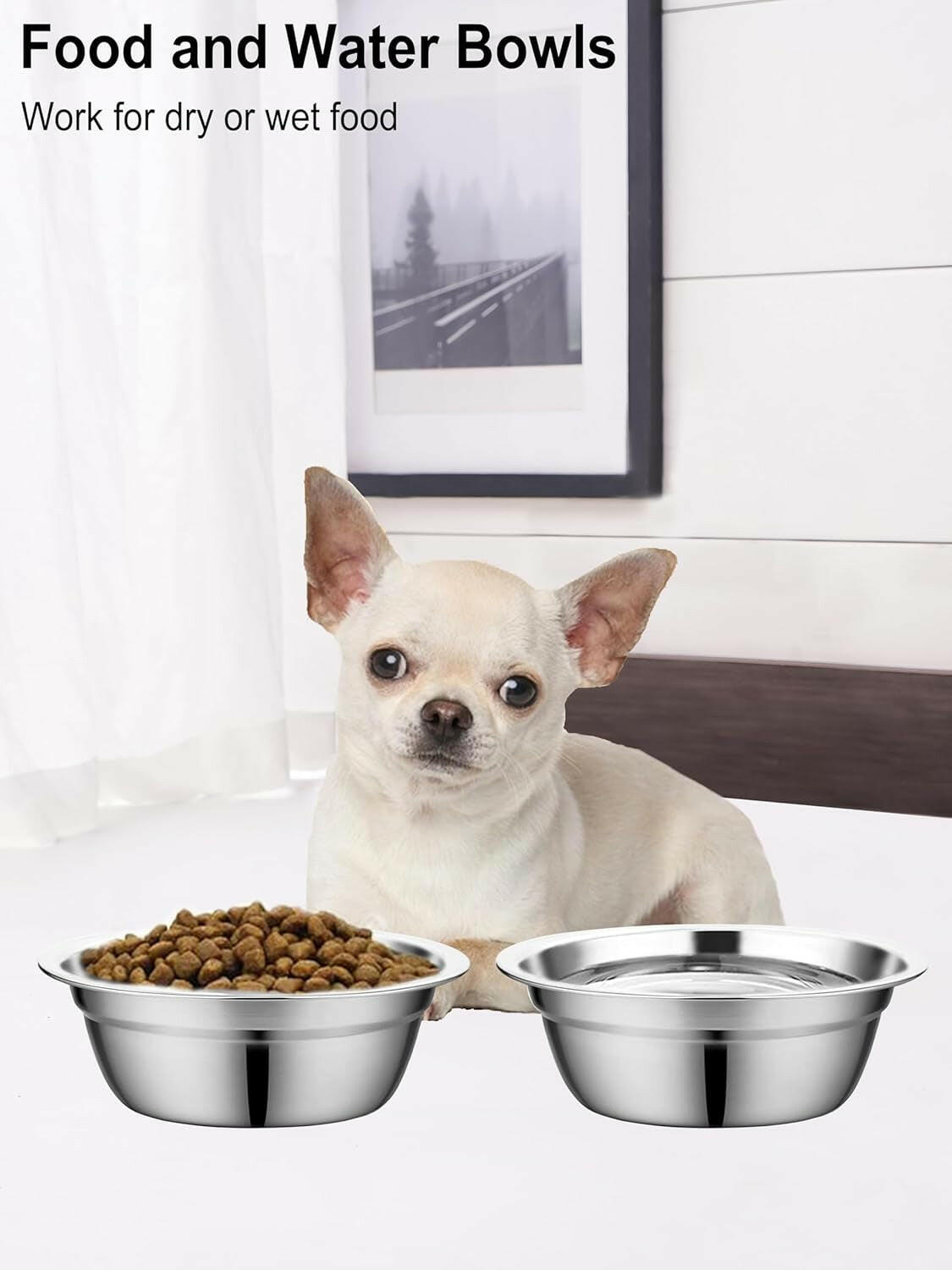 Stainless Steel Dog Bowls, Metal Dog Bowls, Dog Bowls for Small, Medium Sized Dog