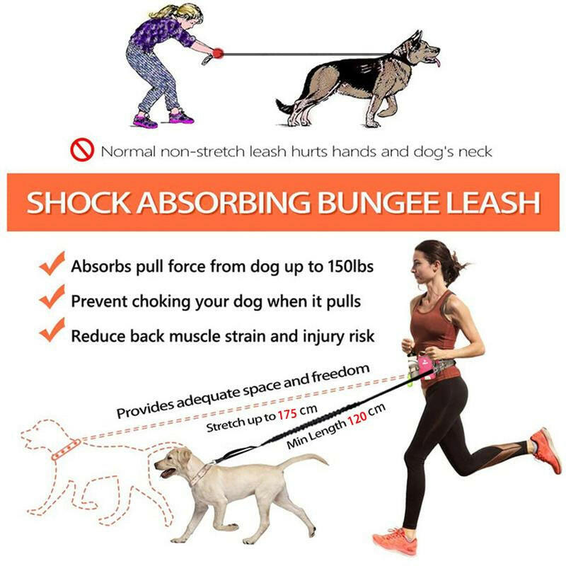 Hands Free Dog Leash(20-110 Lbs) with Waist Belt( 27" - 51") for Walking Running Jogging with Your Dog , Black, Large Storage