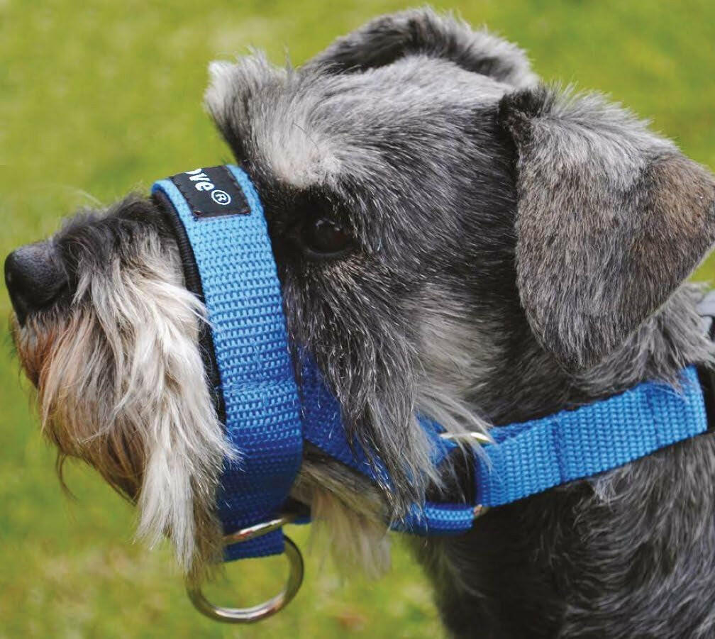 Dog Head Collar Halter Blue 5 Sizes (XL: 12.25"-15.25" Snout)