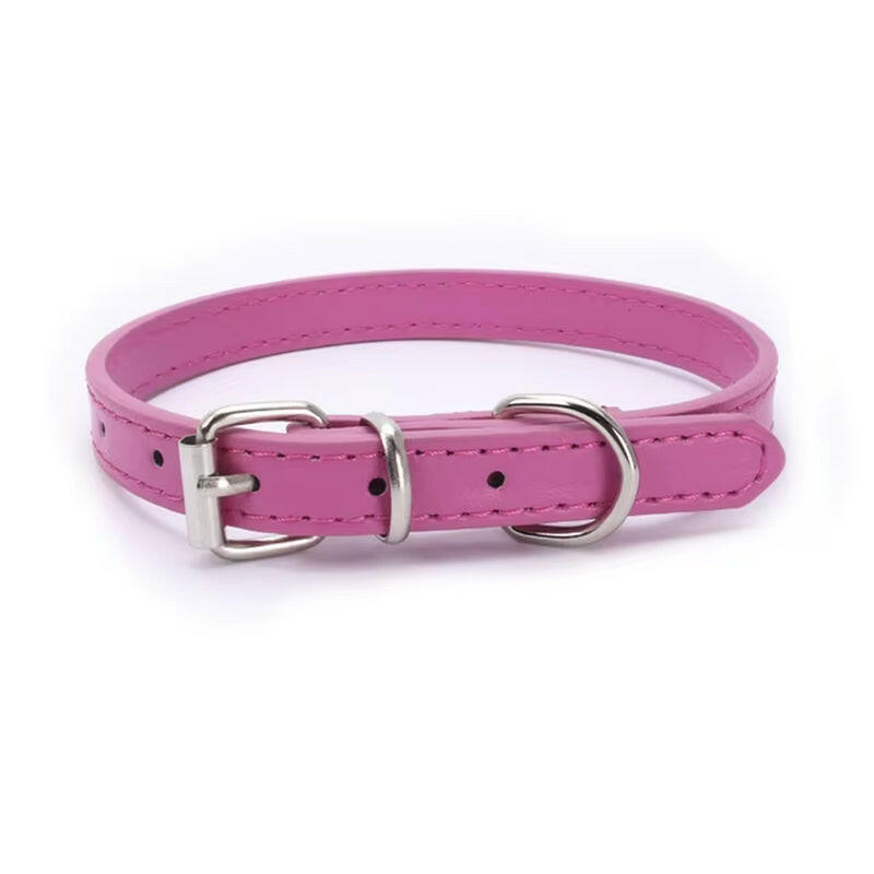 Pet Supplies Dog Collar Alloy Buckle Dog Chain Cat Necklace Size Adjustable for Small and Medium-Sized Dog Collars Dog Supplies