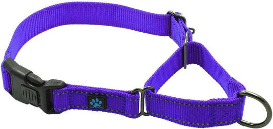 Nylon Martingale Collar - We Donate a Collar to a Dog Rescue for Every Collar Sold (Large, Purple)